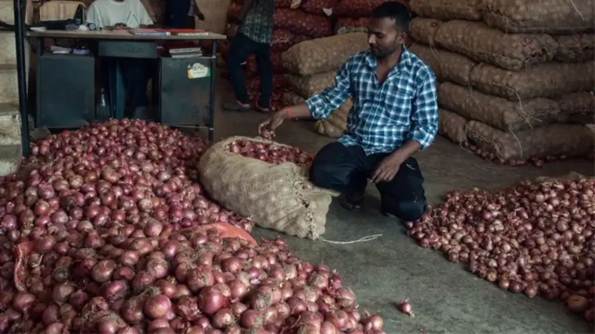Onion Price Surge: कांदा सर्वसामान्यांना रडवणार..! बफर स्टॉकमधील 30 टक्के कांदा सडला, दर शंभरी गाठणार?