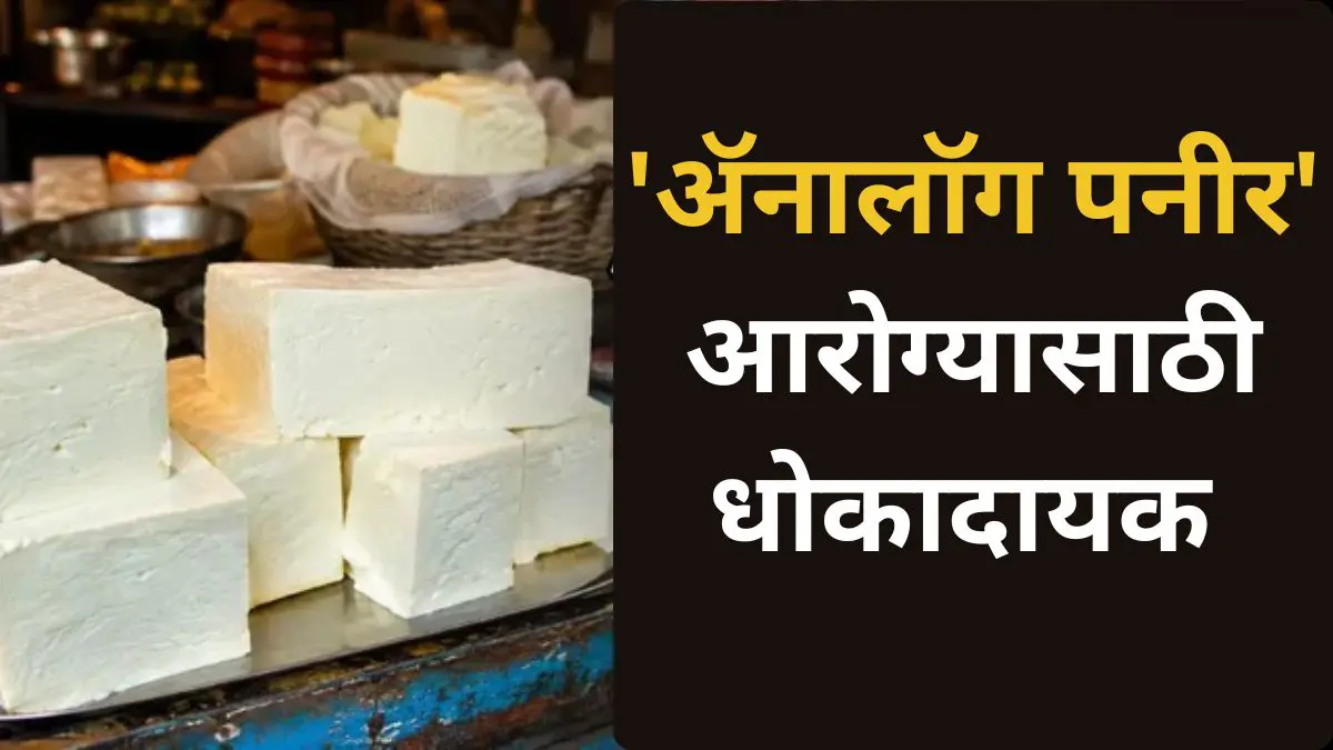 Analogue Paneer Ban: 150 रुपयांचे बनावट पनीर 500 रुपयांच्या नावाने विक्री? जाणून घ्या 'ॲनालॉग पनीर'चा धोका