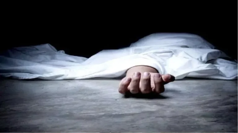 maharashtra-news-three-labours-die-after-a-wall-collapses-at-company-palghar-wada