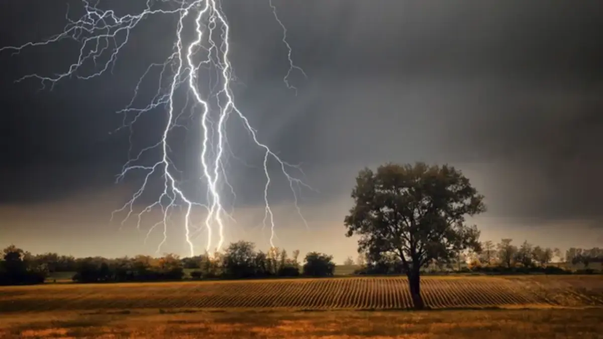 Maharashtra Weather: मराठवाड्यात पावसाचे दमदार पुनरागमन; परभणीत 40 दिवसांनी तर लातूरमध्ये दीड महिन्यानंतर कोसळल्या सरी