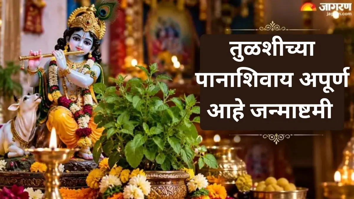 Janmashtami 2026: Janmashtami 2026: 56 भोगांपेक्षाही तुळशीचे पान का महत्त्वाचे? श्रीकृष्णाच्या पूजेमागचे धार्मिक कारण जाणून घ्या