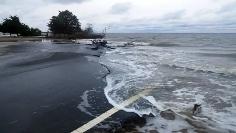 rising-sea-water-levels-pose-threat-to-millions-in-kolkata-and-mumbai-says-un-report