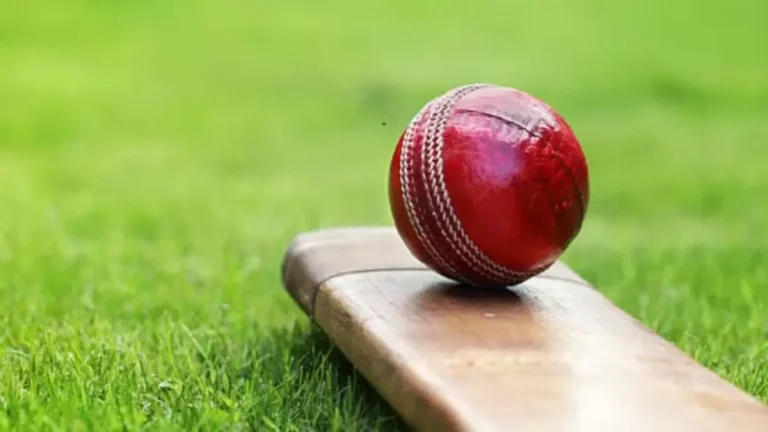 match-report-aryan-sharma-score-311-runs-delhi-schools-t20-league-triple-century