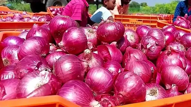 onion-price-20-drop-in-wholesale-onion-prices