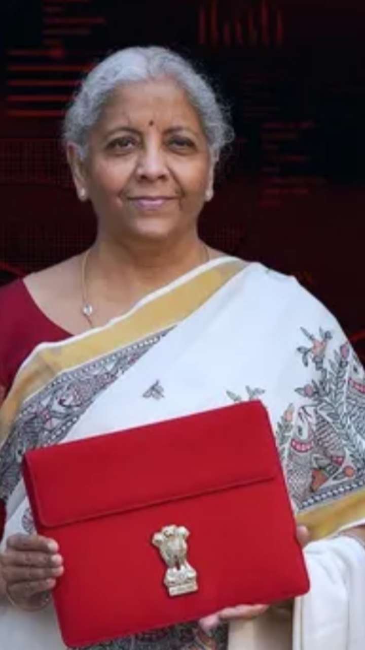 Budget 2025: 2019 ते 2025 पर्यंतच्या निर्मला सीतारामन यांच्या बजेट स्पेशल साड्या
