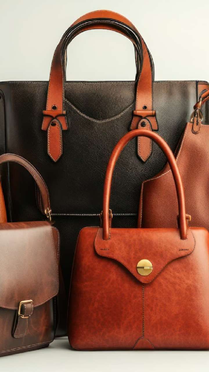 Types of Bags: वेगवेगळ्या आकाराच्या आणि डिझाइनच्या बॅगची नावे तुम्हाला माहिती आहे का?